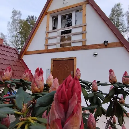 Drzwi Do Lasu Rowy (Pomerania)