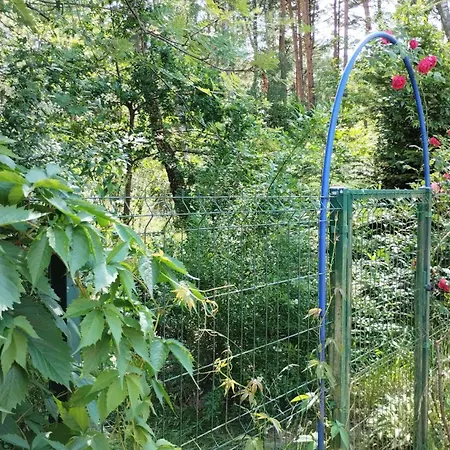 Drzwi Do Lasu Rowy (Pomerania)