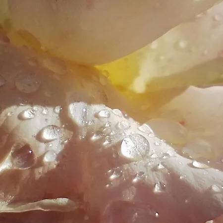 Za Zakretem * Rowy (Pomerania)