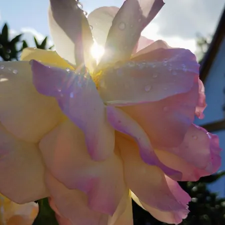 Za Zakretem * Rowy (Pomerania)